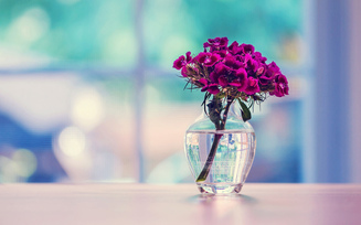 гвоздика, турецкая, стекло, ваза, поверхность, цветы