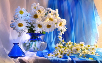 ваза, цветы, ромашки, натюрморт