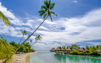 sunshine, море, summer, vacation, beach, sea, пляж, paradise, ocean, tropical, palms, hut